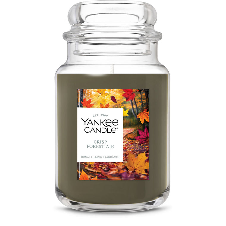 Crisp Forest Air Original Large Jar Candle Z4